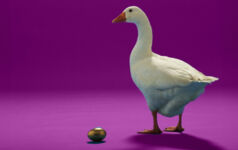 Goose and 'golden' egg