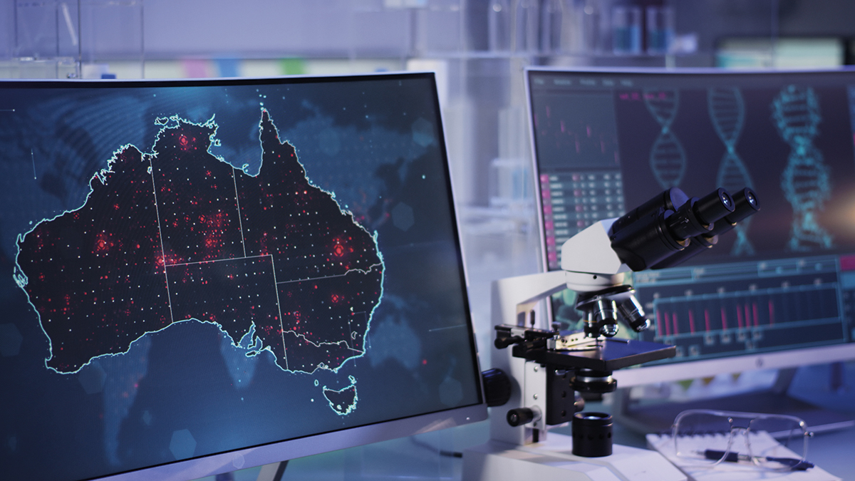 Picture of the Company