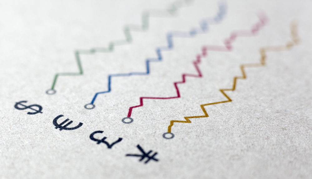 Picture of the Company