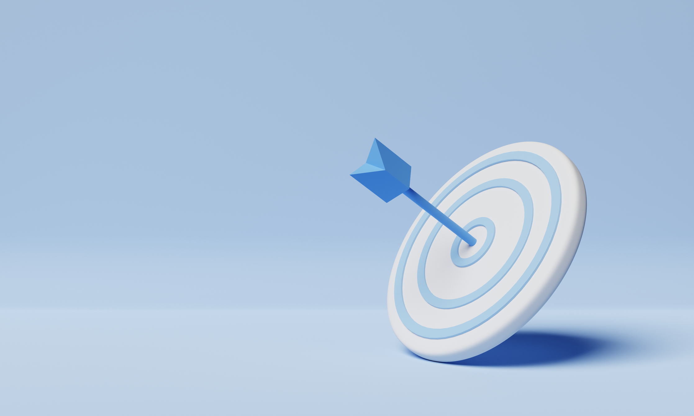 Picture of the Company