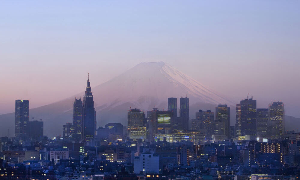 Picture of the Company