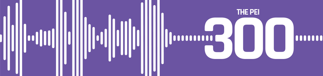 PEI 300 banner