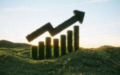 Sustainable growth chart