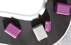 PEI 300 2024 suitcases