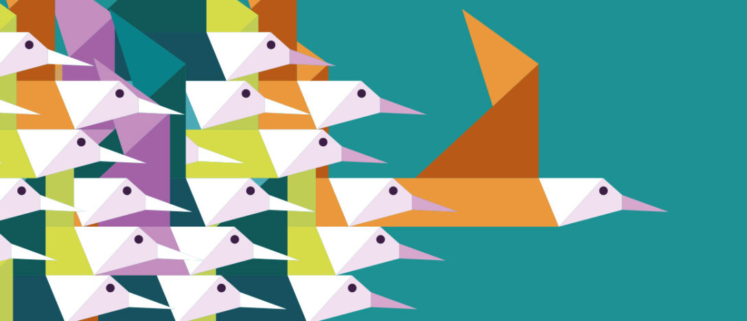 T9 Flock of birds illo Illustration of a flock of birds, with one flying out in front of the rest