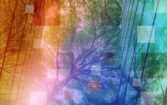 Sustainability: Managers double down on value creation and metrics Private Markets 2030 sustainability theme banner